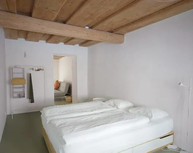 Herzige In Altem Gemäuer Apartment Linz